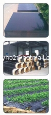 الصين الجفاف Masterbatch إزالة إعادة تدوير HDPE المياه بكفاءة PE-200 المزود